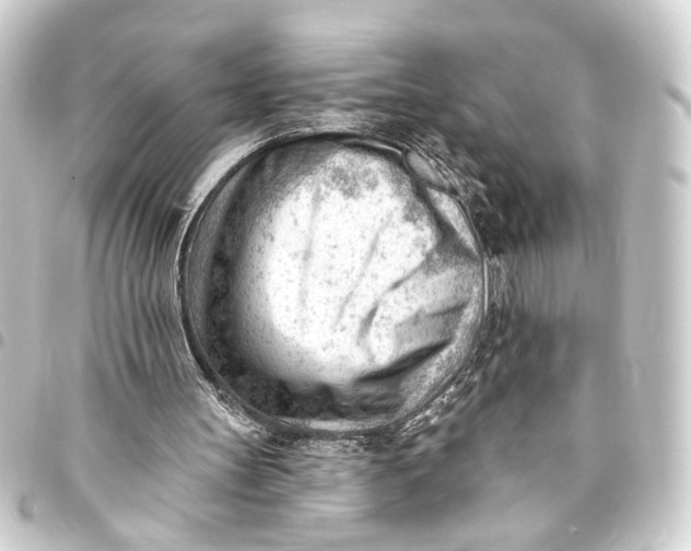 X0000093420147200711021021