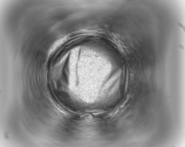 X0000093420149200711021021