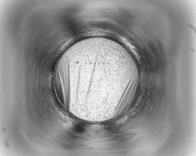 X0000093420153200711021021