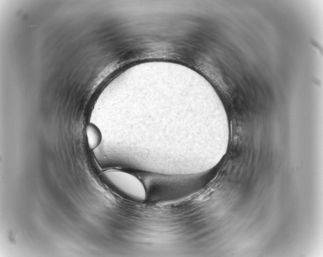 X0000093420156200711021021