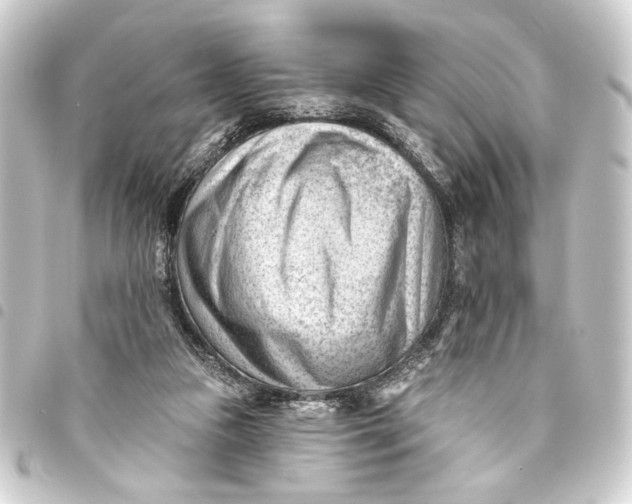 X0000093420161200711021021