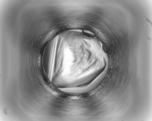 X0000093420163200711021021