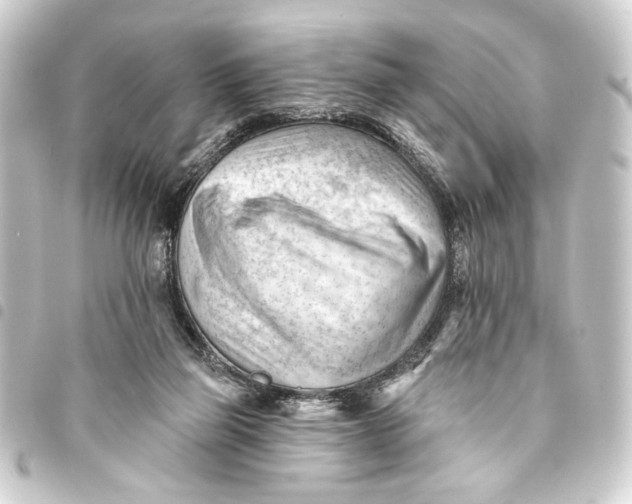 X0000093420165200711021021