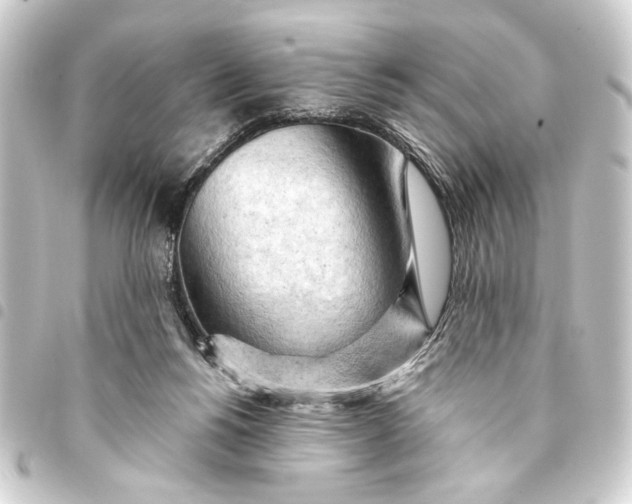 X0000093420168200711021021