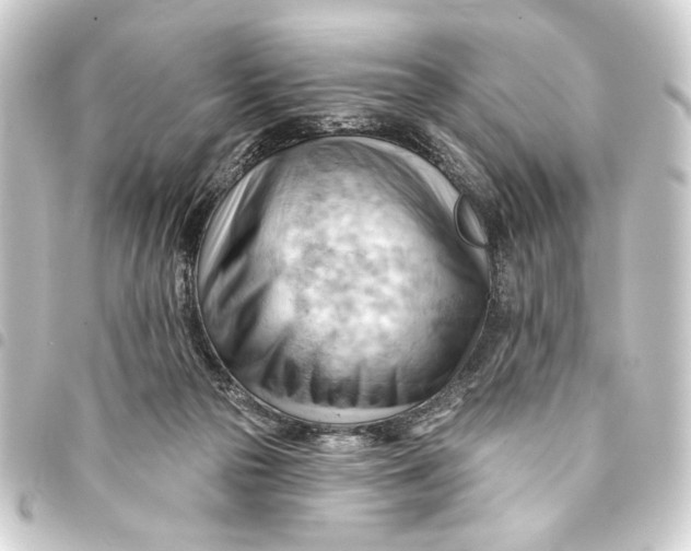 X0000093420169200711021021