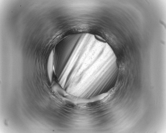 X0000093420170200711021021