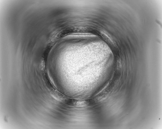 X0000093420173200711021021