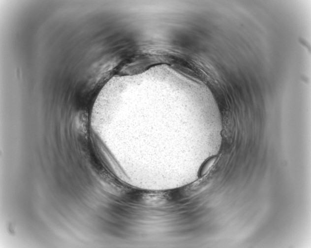 X0000093420175200711021021