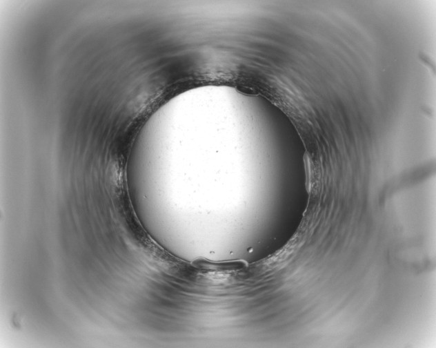 X0000093420176200711021021