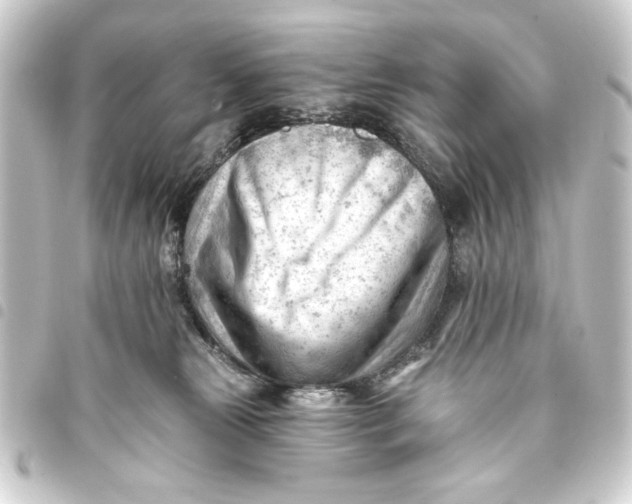 X0000093420181200711021022