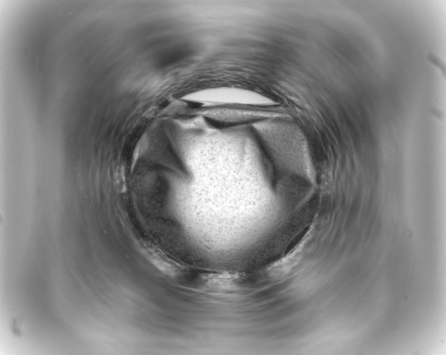 X0000093420182200711021022