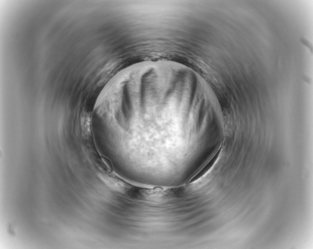 X0000093420191200711021022