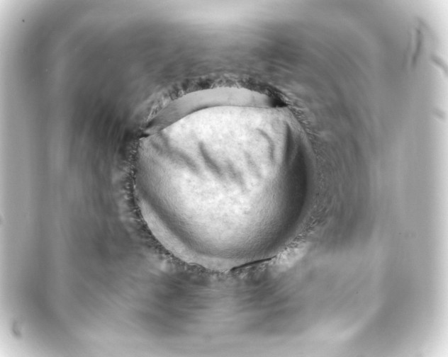 X0000093420192200711021022