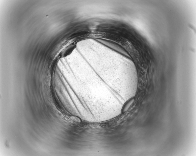 X0000093420194200711021021