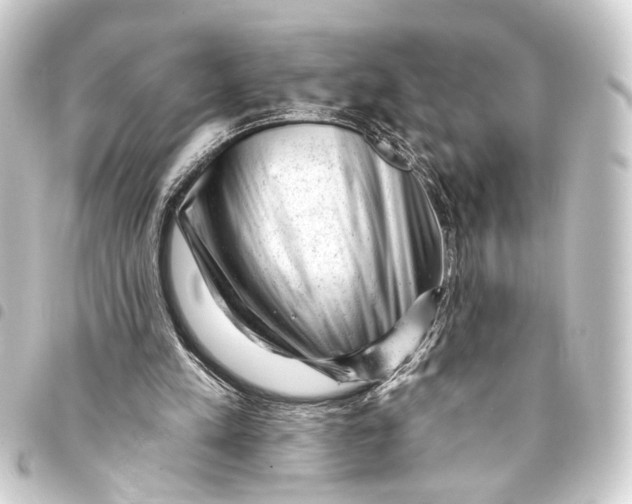 X0000093420197200711021021