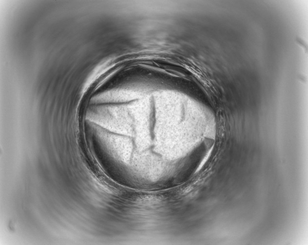 X0000093420198200711021021