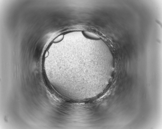 X0000093420200200711021021