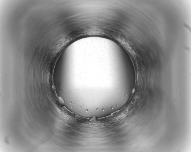 X0000093420201200711021021