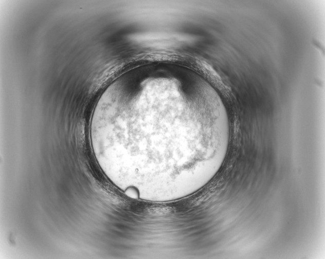 X0000093420202200711021021