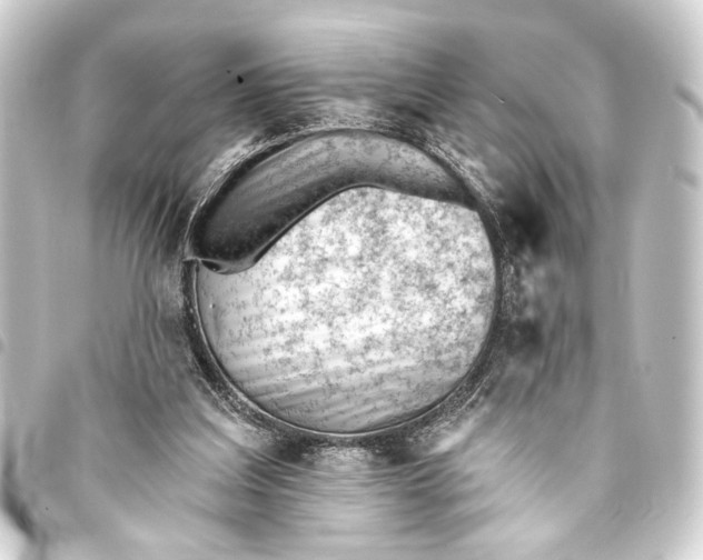 X0000093420203200711021021