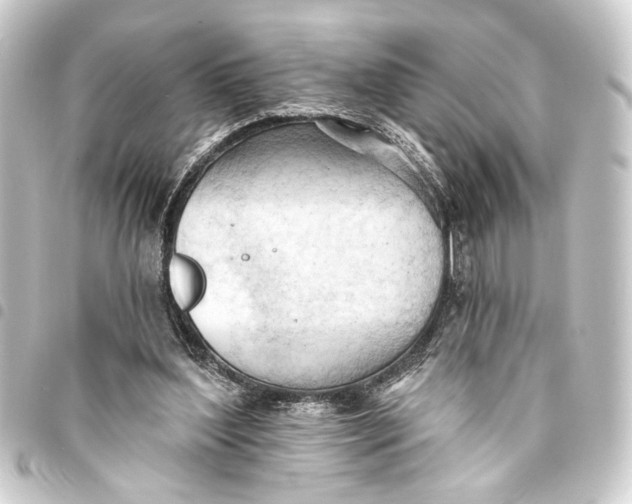 X0000093420204200711021021