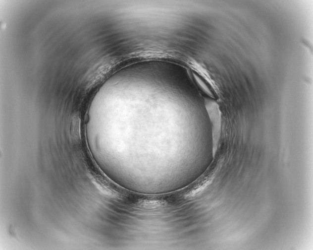 X0000093420205200711021021