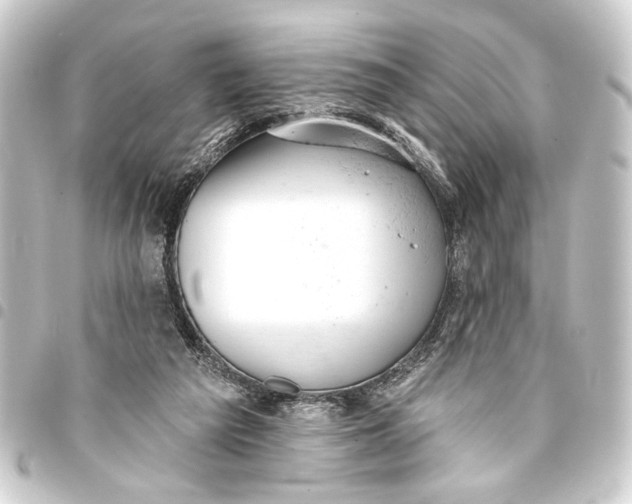 X0000093420209200711021021