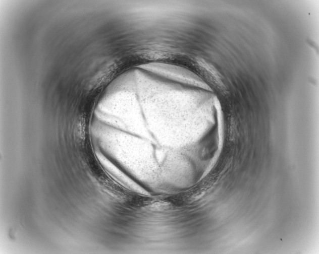 X0000093420210200711021021