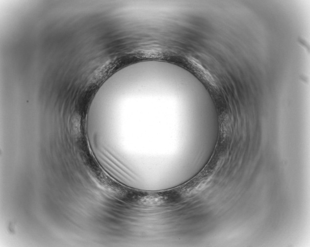 X0000093420213200711021021