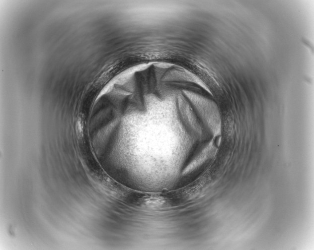 X0000093420214200711021021