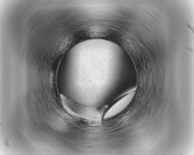 X0000093420219200711021021