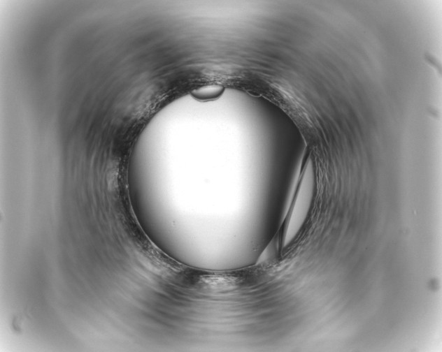 X0000093420221200711021021