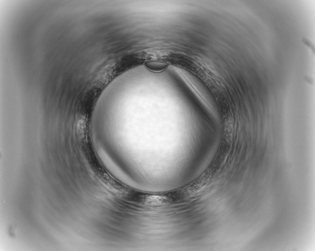 X0000093420222200711021021