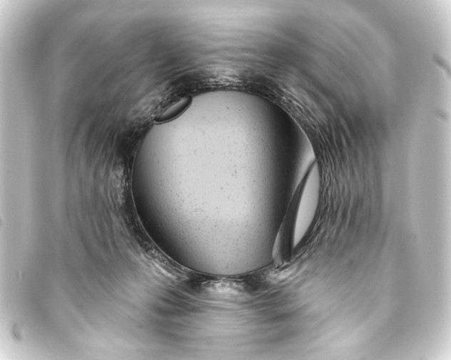 X0000093420223200711021021