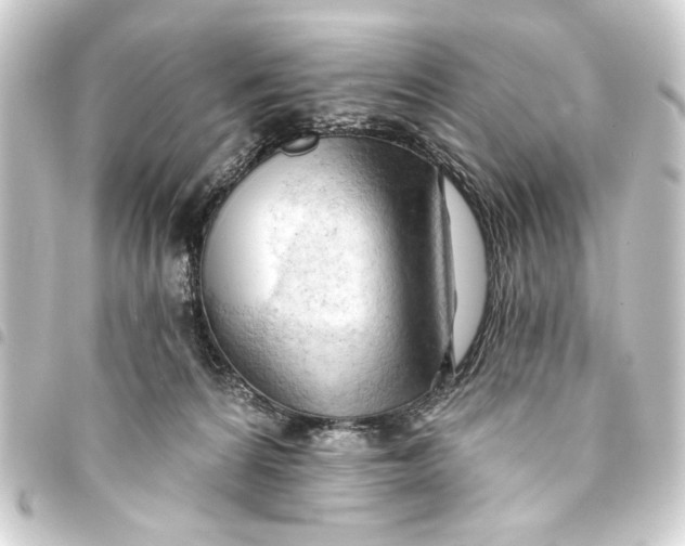 X0000093420224200711021021