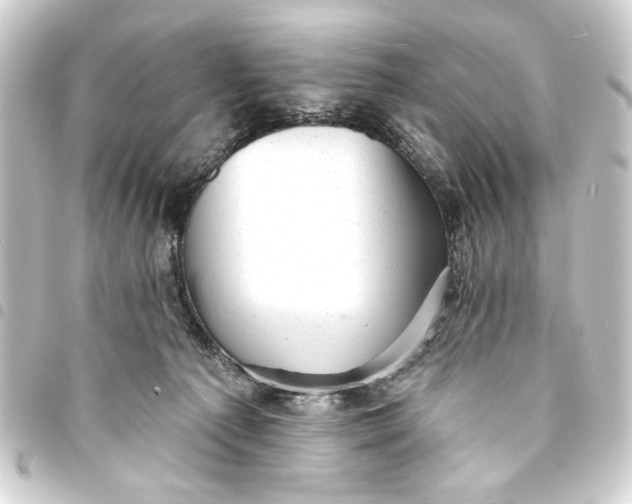 X0000093420225200711021021