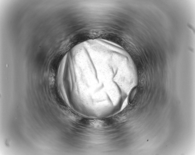 X0000093420226200711021021