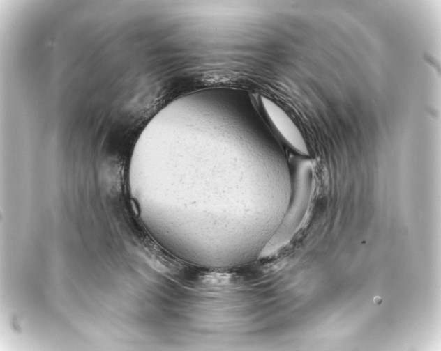 X0000093420227200711021021