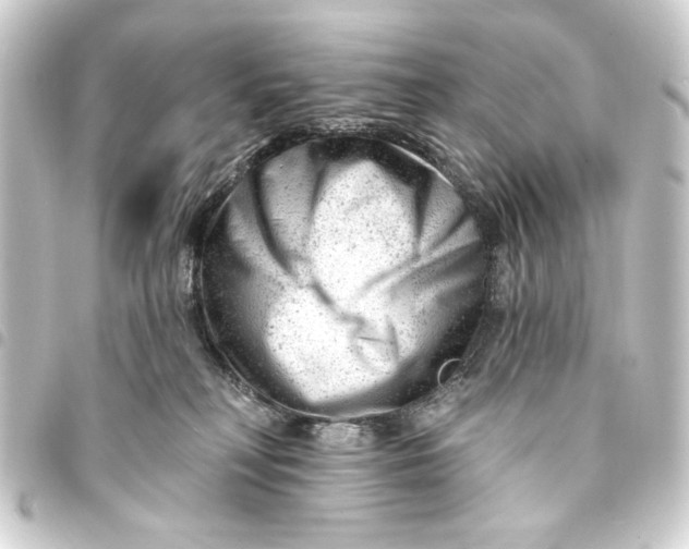 X0000093420230200711021021