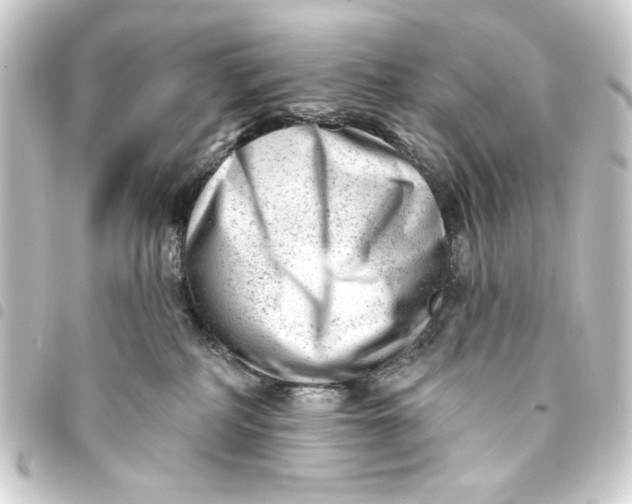 X0000093420234200711021021