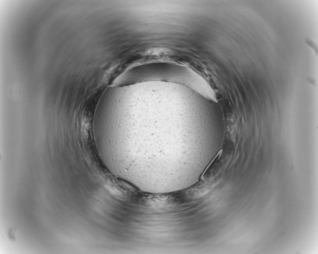 X0000093420235200711021021