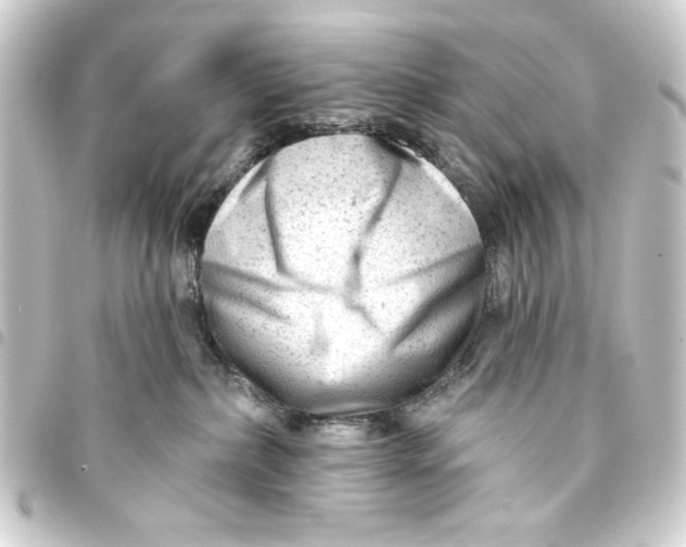 X0000093420236200711021021