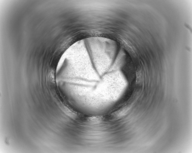 X0000093420238200711021021