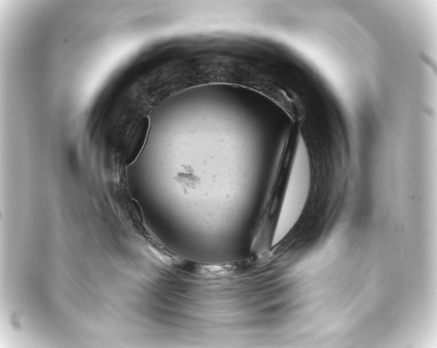 X0000093420239200711021021