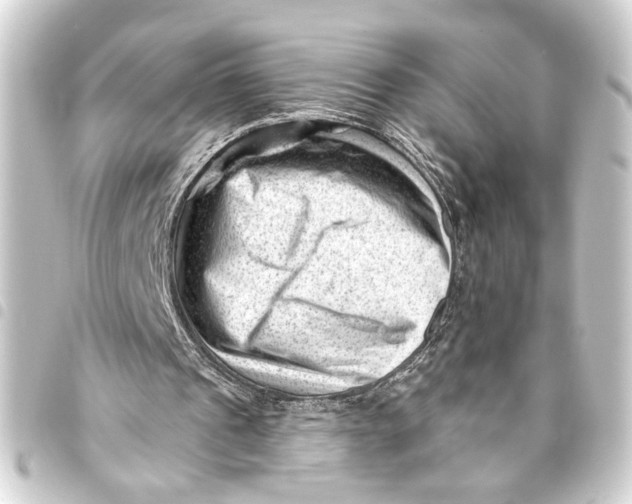 X0000093420241200711021020