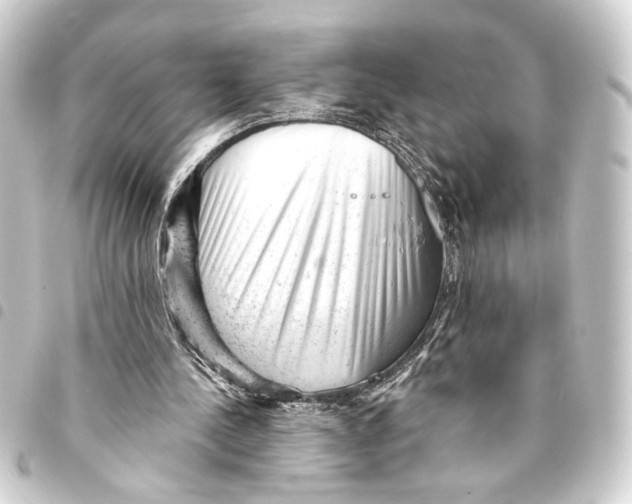 X0000093420244200711021020