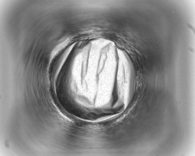 X0000093420245200711021020