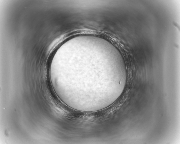 X0000093420247200711021020