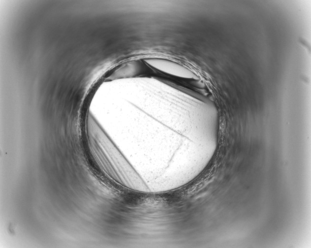 X0000093420248200711021020