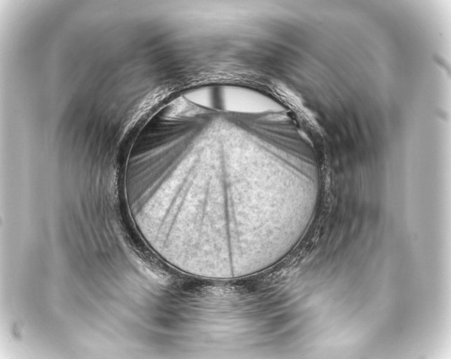 X0000093420250200711021020